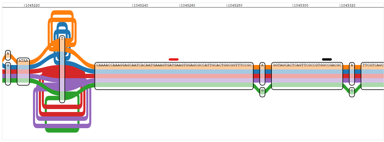 Pangenome graph region of the start of oprD