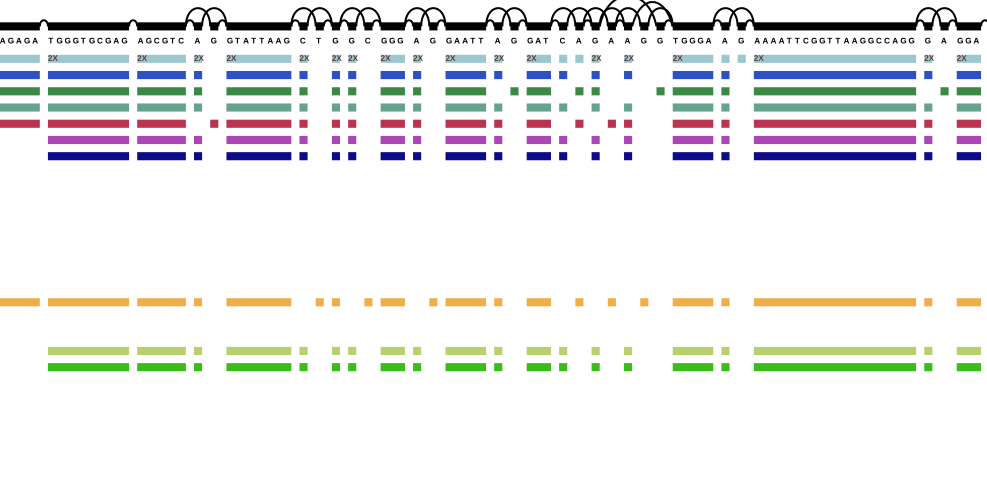 Variant graph with annotation - first genes