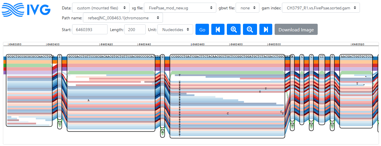 Reads mapping to a region in the PA14 reference genome